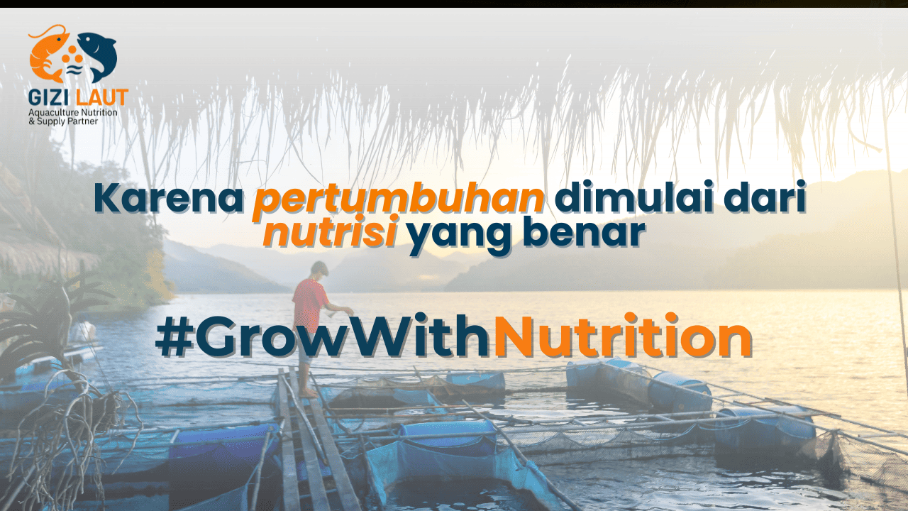 Cara Memaksimalkan Pertumbuhan Benur dengan Nutrisi yang Tepat